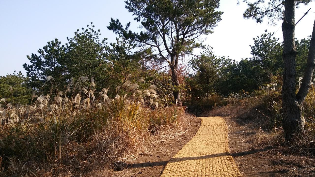 Jeju Youth Hostel Buitenkant foto