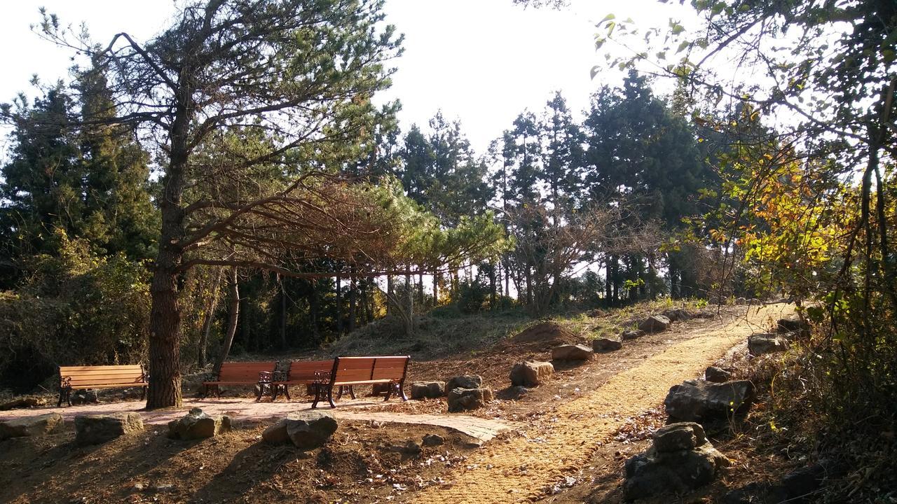Jeju Youth Hostel Buitenkant foto