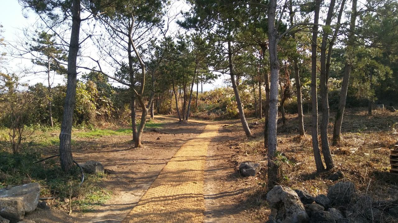 Jeju Youth Hostel Buitenkant foto